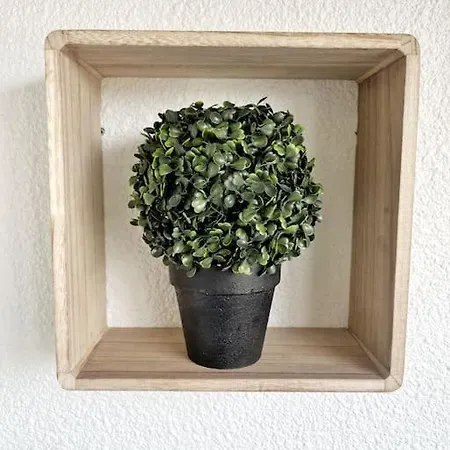 Cosy Studio Le Cannot - Piscine - Parking *